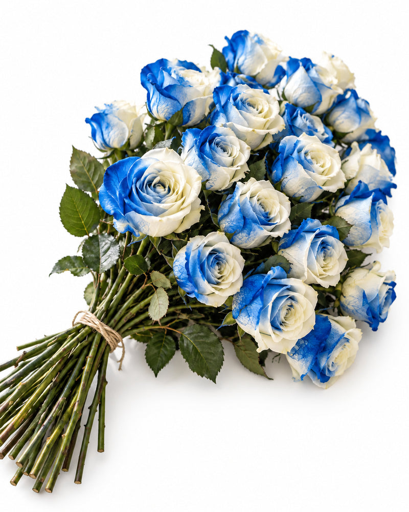 Bicolor Blue & White — hand-gathered bouquet on white, The Bloom Drop