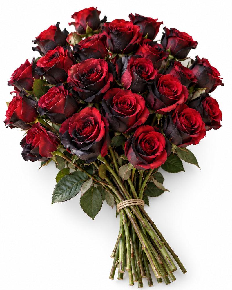Bicolor Red & Black — hand-gathered bouquet on white, The Bloom Drop