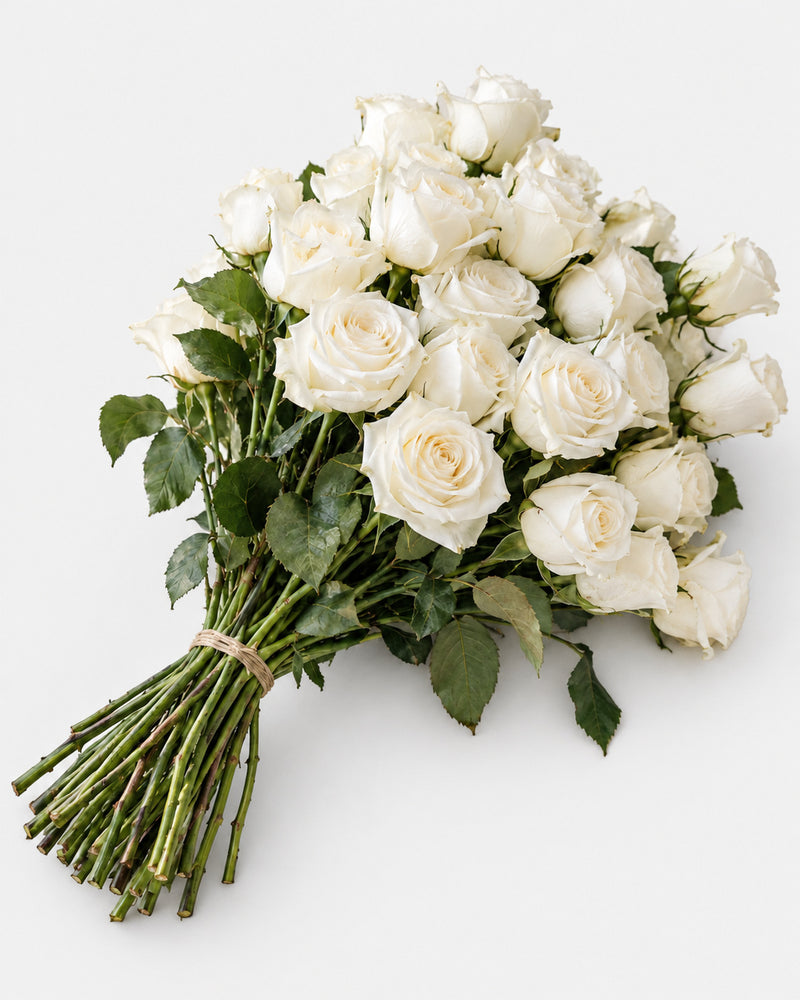 The Everyday Whites — hand-gathered bouquet on white, The Bloom Drop