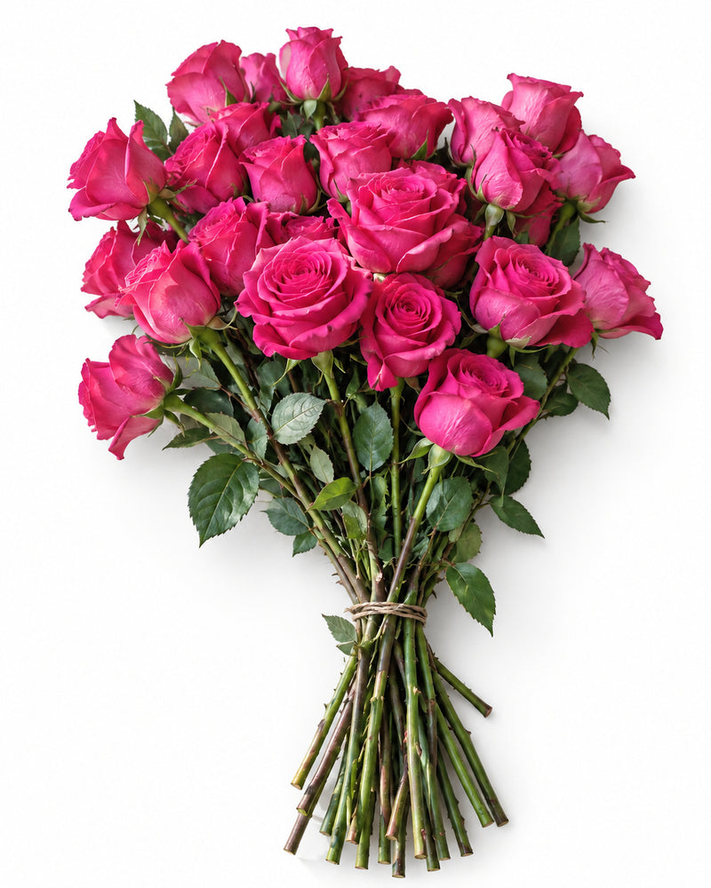 The Fresh Pinks — hand-gathered bouquet on white, The Bloom Drop
