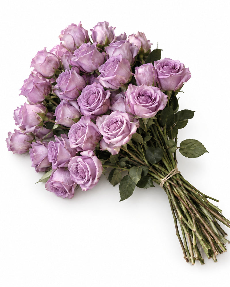 The Lavender Bloom — hand-gathered bouquet on white, The Bloom Drop