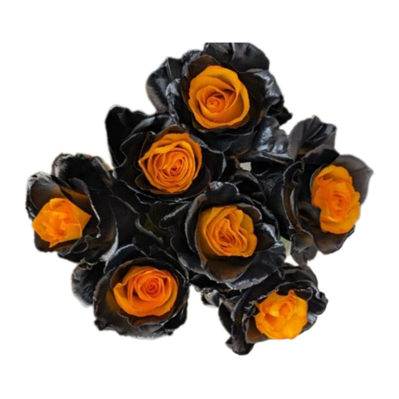Pumpkin Halloween tinted roses, 25 stems