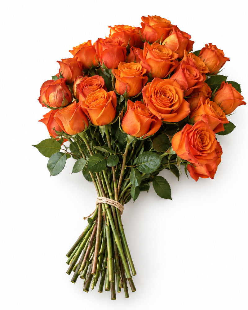 The Pure Orange — hand-gathered bouquet on white, The Bloom Drop