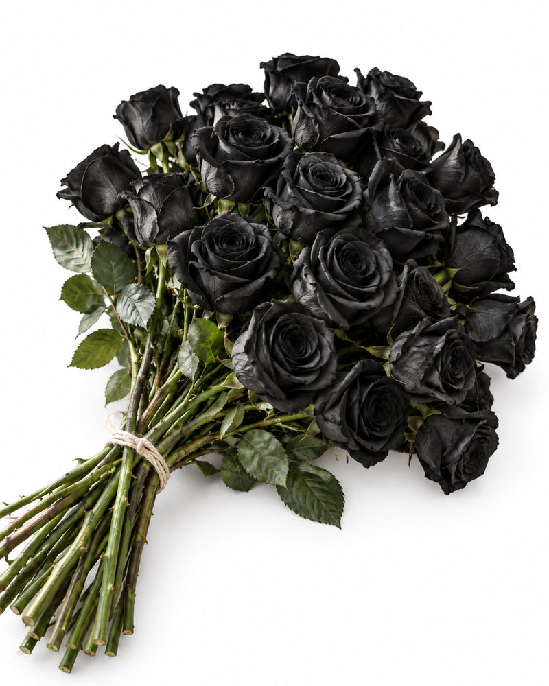 Tinted Black — hand-gathered bouquet on white, The Bloom Drop