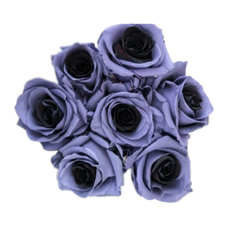 Vampirinha Halloween tinted roses, 25 stems