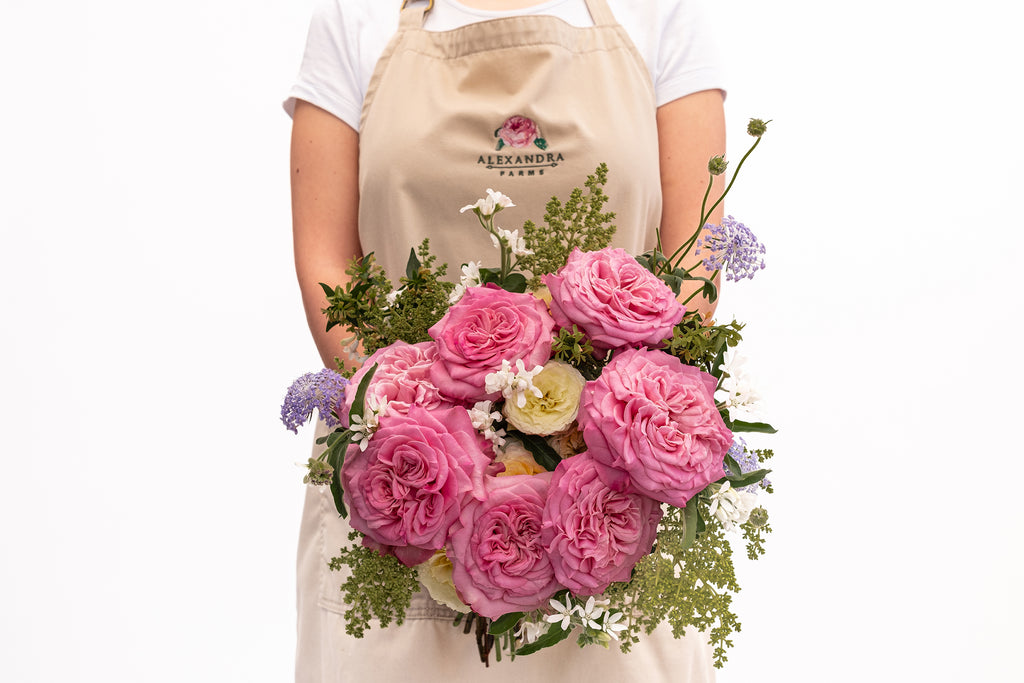 Ashley Pink Garden Roses