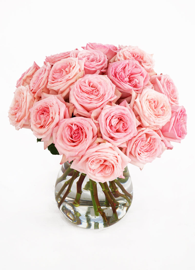 Pink O'Hara Garden Roses hand-tied by The Bloom Drop, Miami