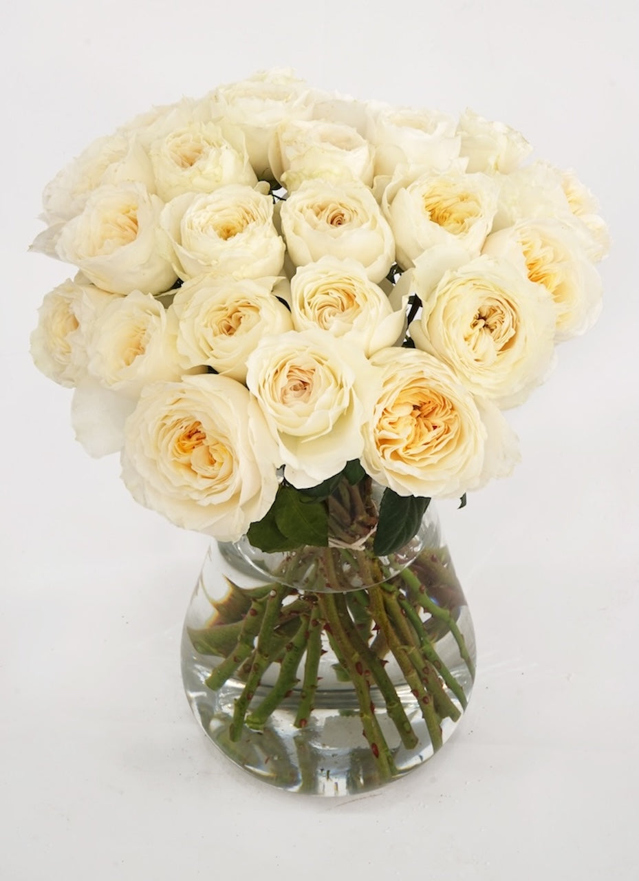 White Cloud Garden Roses hand-tied by The Bloom Drop, Miami