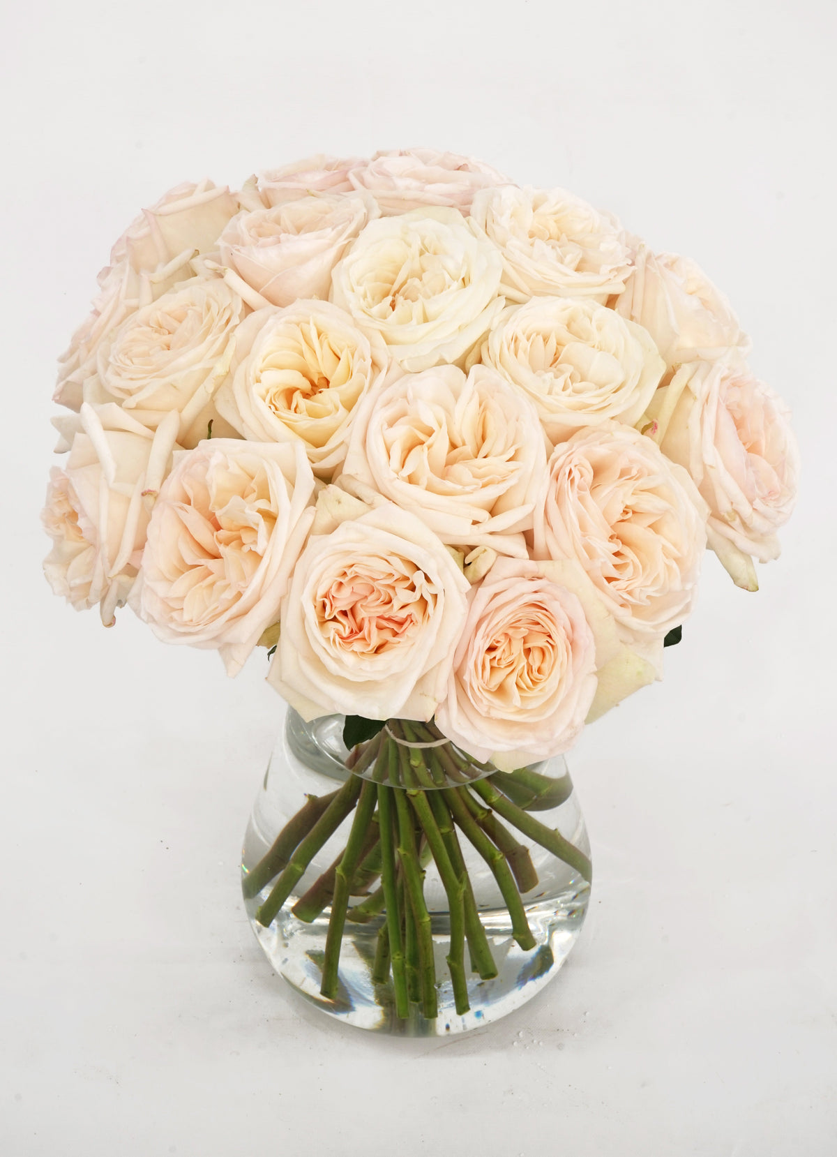 White O'Hara Garden Roses hand-tied by The Bloom Drop, Miami