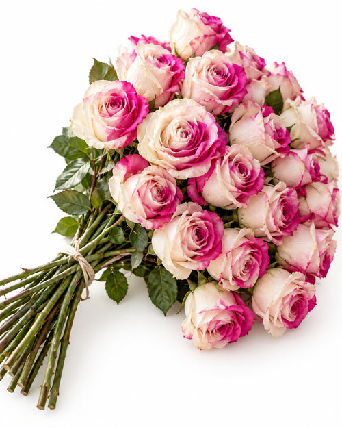 Bicolor Pink & White — hand-gathered bouquet on white, The Bloom Drop