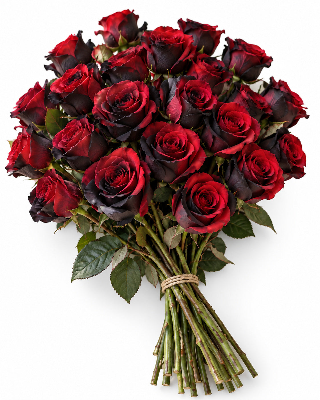 Bicolor Red & Black — hand-gathered bouquet on white, The Bloom Drop