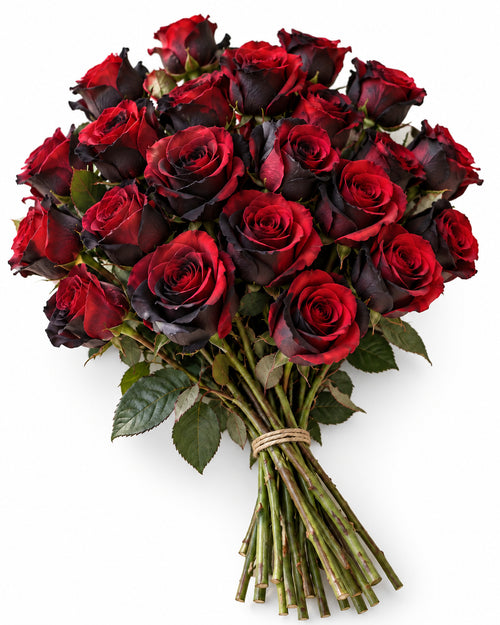 Bicolor Red & Black — hand-gathered bouquet on white, The Bloom Drop