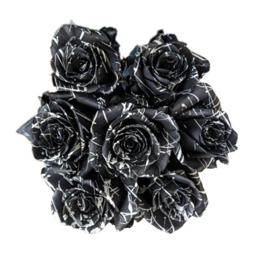 Black Widow Halloween tinted roses, 25 stems