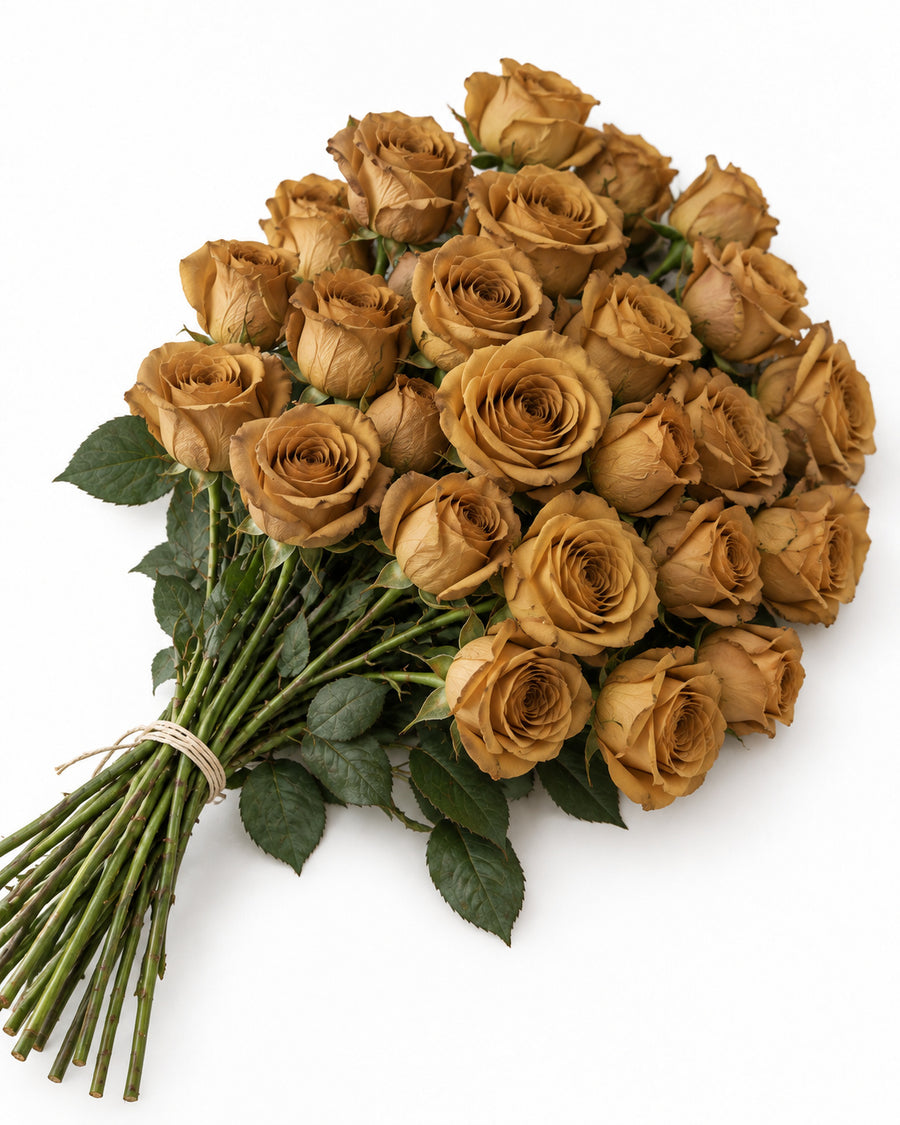 Fall Tinted Roses