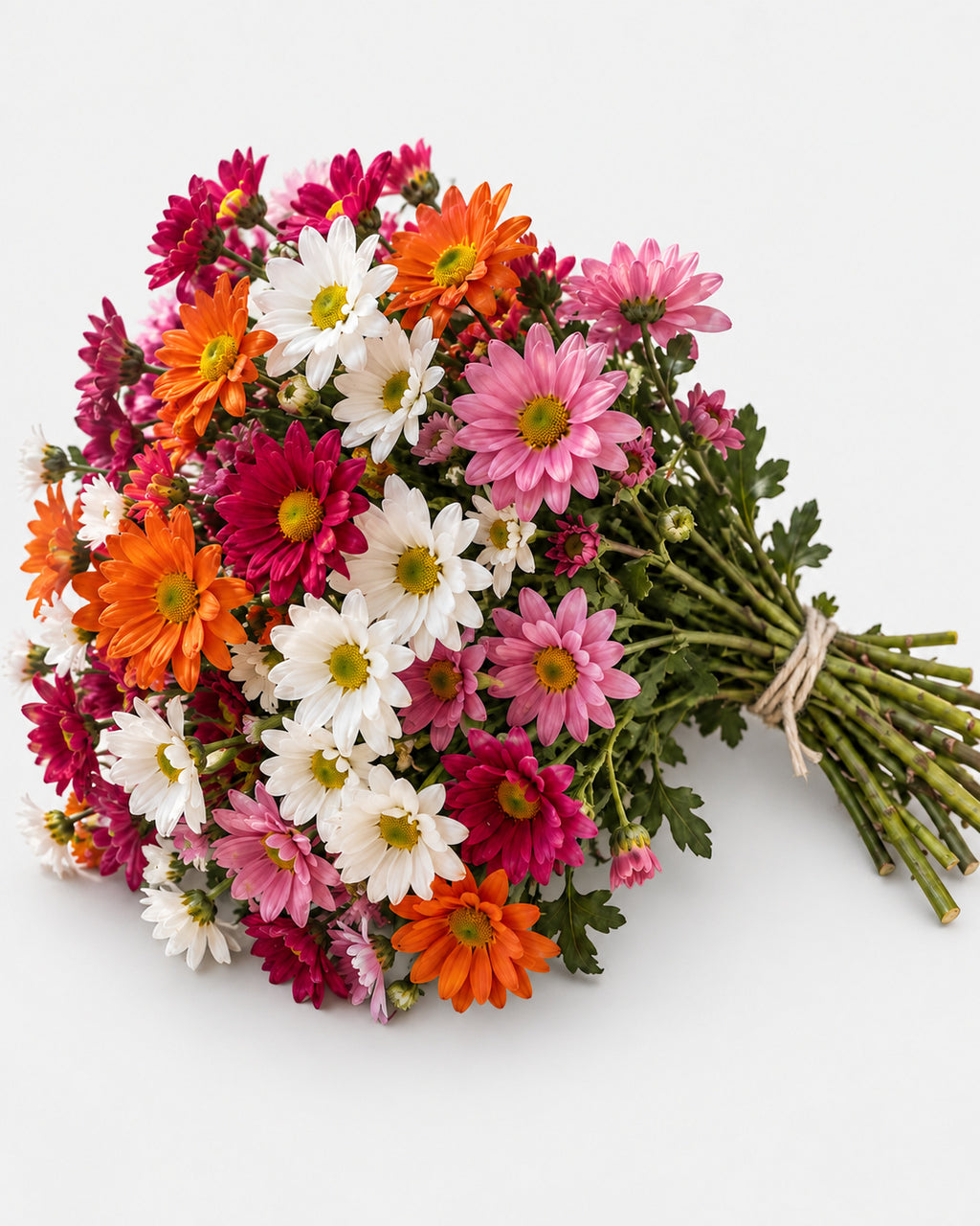 Daisies — hand-gathered bouquet on white, The Bloom Drop