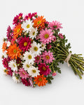 Daisies — hand-gathered bouquet on white, The Bloom Drop