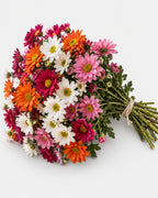Daisies — hand-gathered bouquet on white, The Bloom Drop