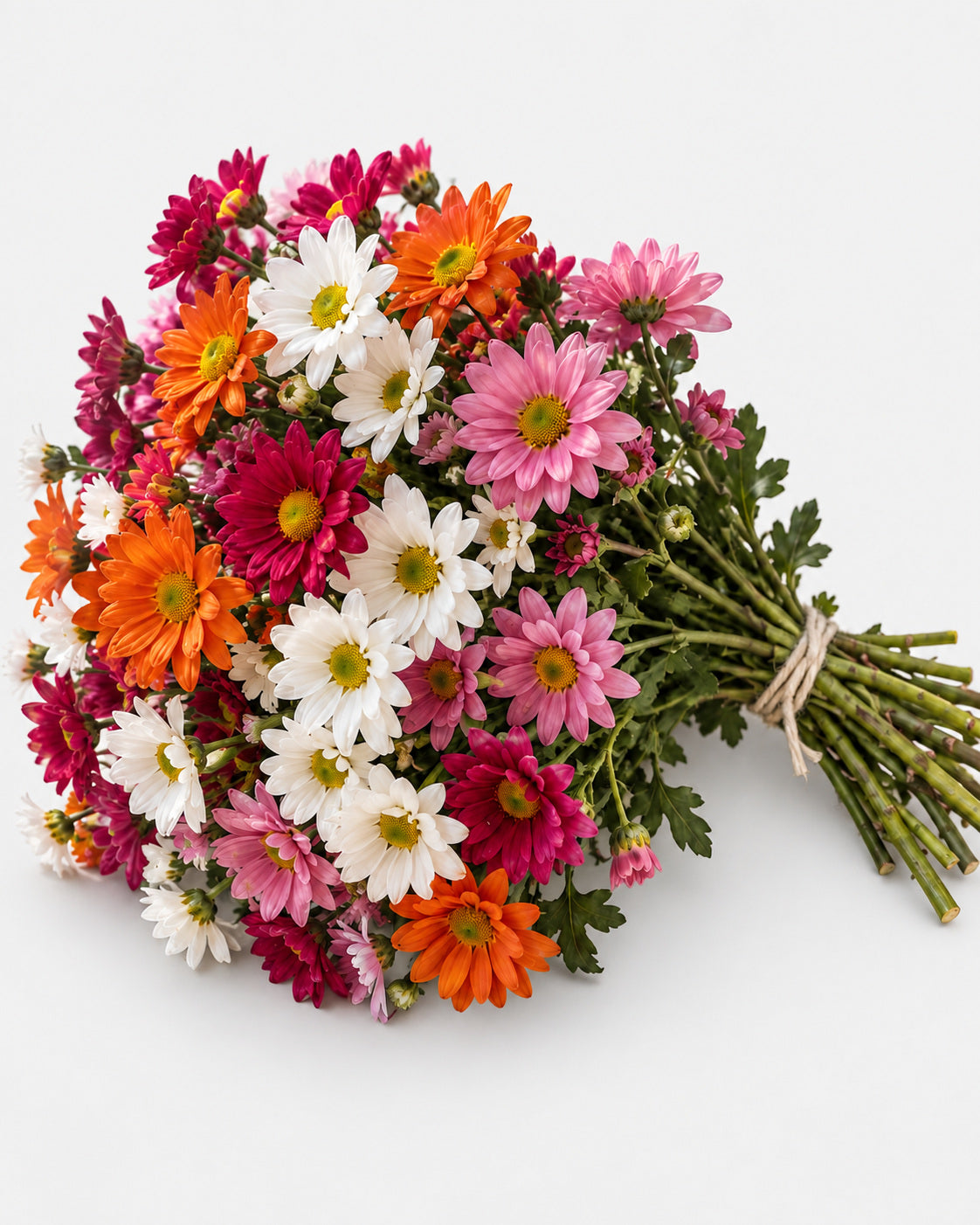 Daisies — hand-gathered bouquet on white, The Bloom Drop