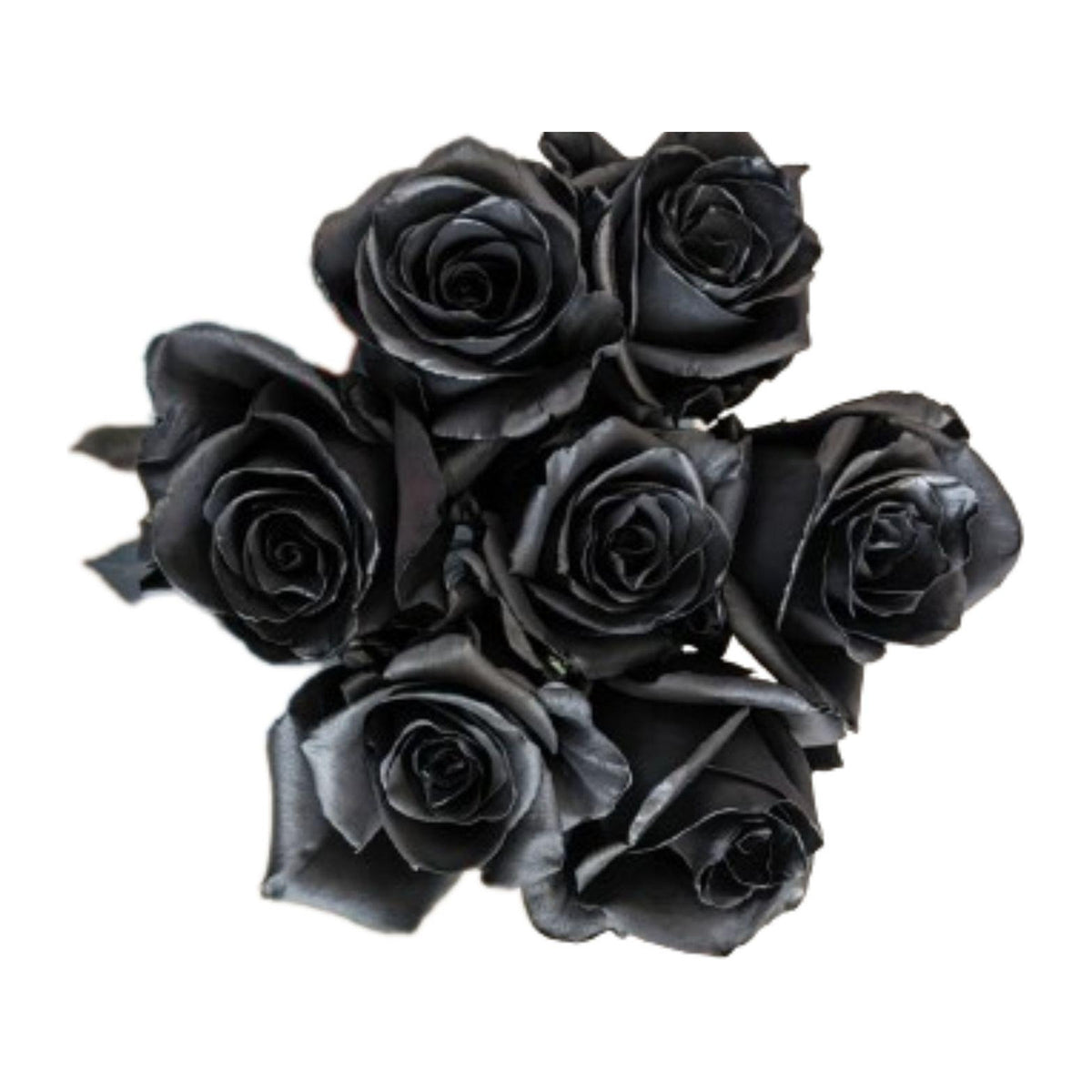 Darkness Halloween tinted roses, 25 stems