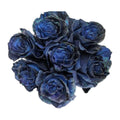 Galaxy Blue Halloween tinted roses, 25 stems