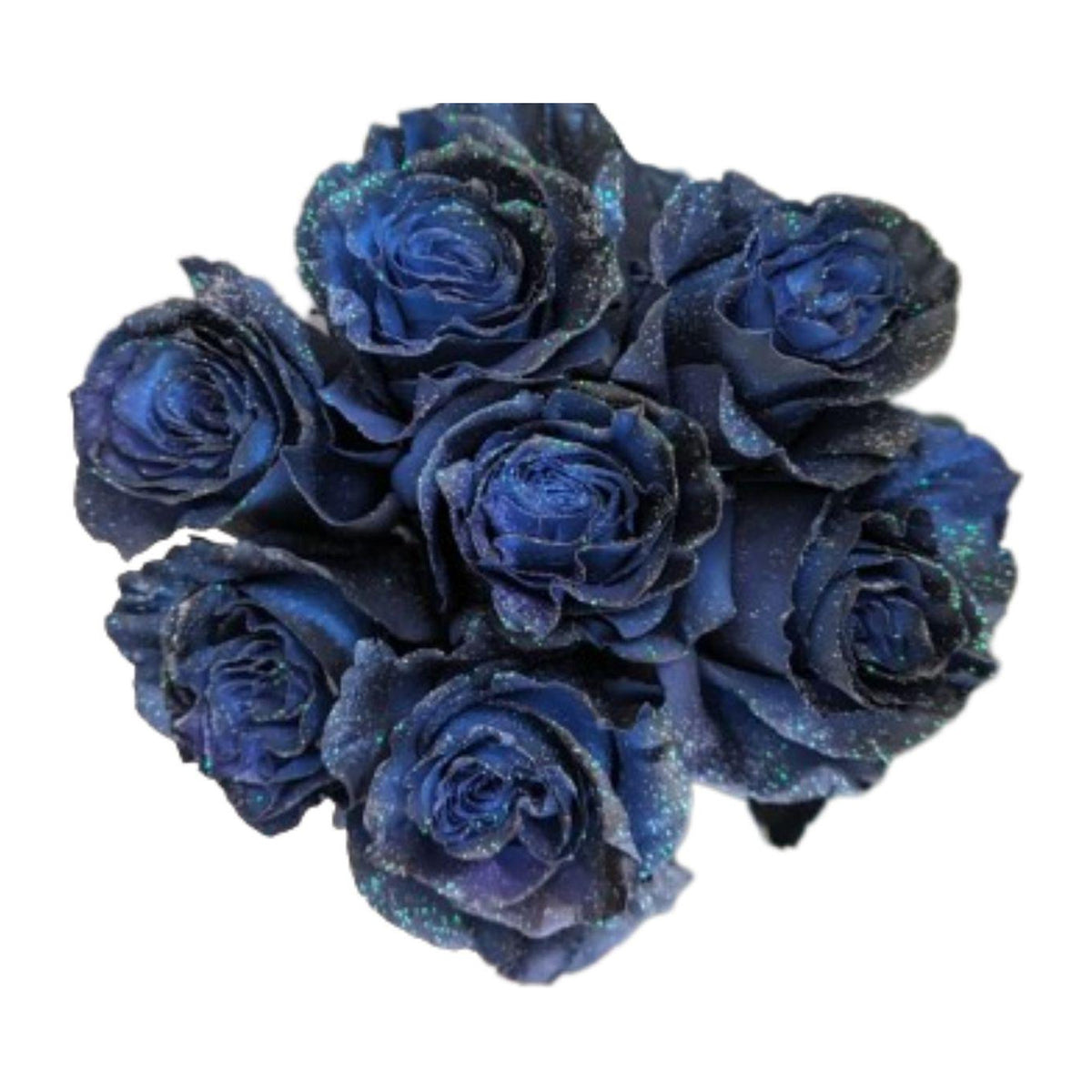 Galaxy Blue Halloween tinted roses, 25 stems