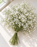 Gyp — Baby's Breath — hand-gathered bouquet, The Bloom Drop