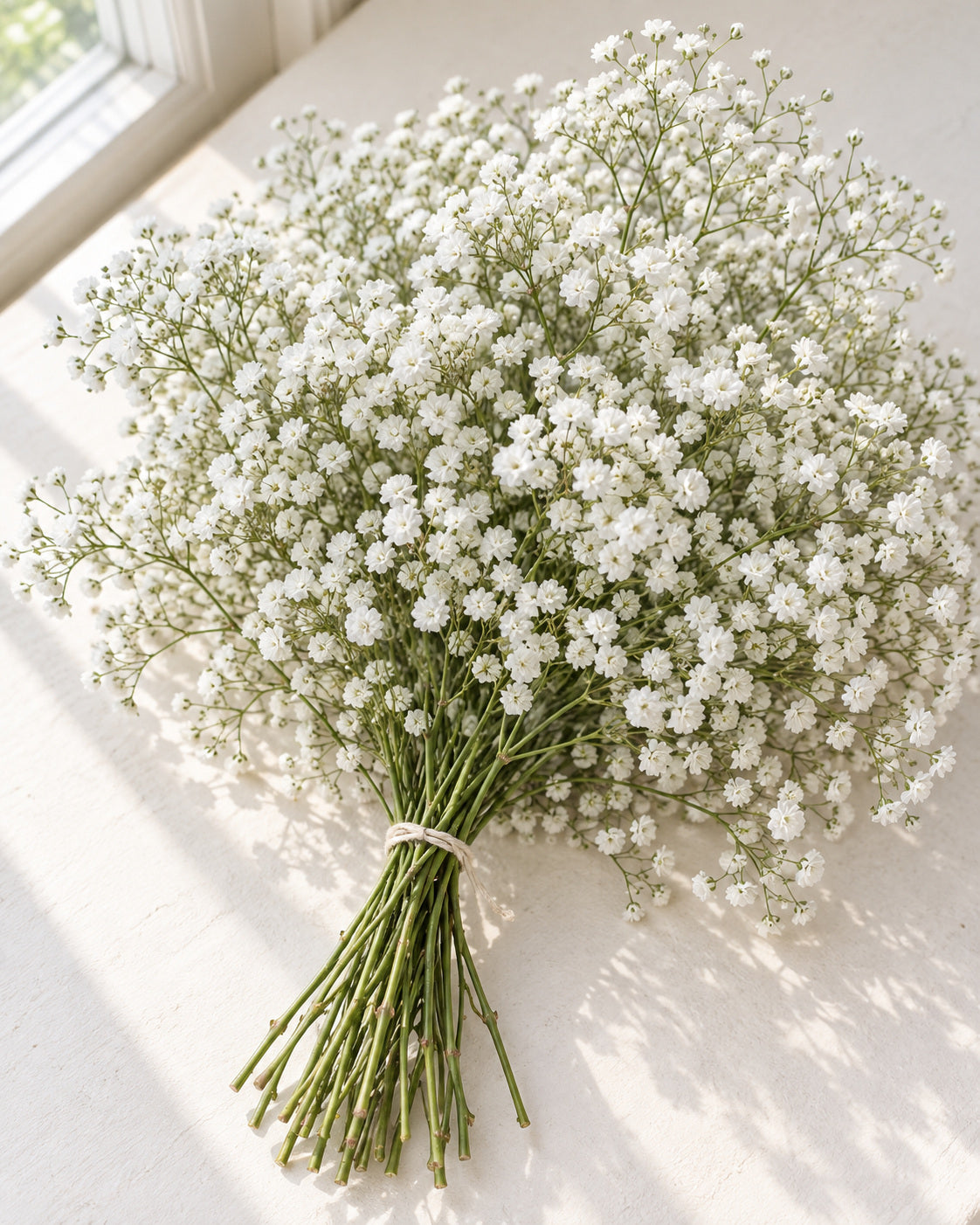 Gyp — Baby's Breath — hand-gathered bouquet, The Bloom Drop