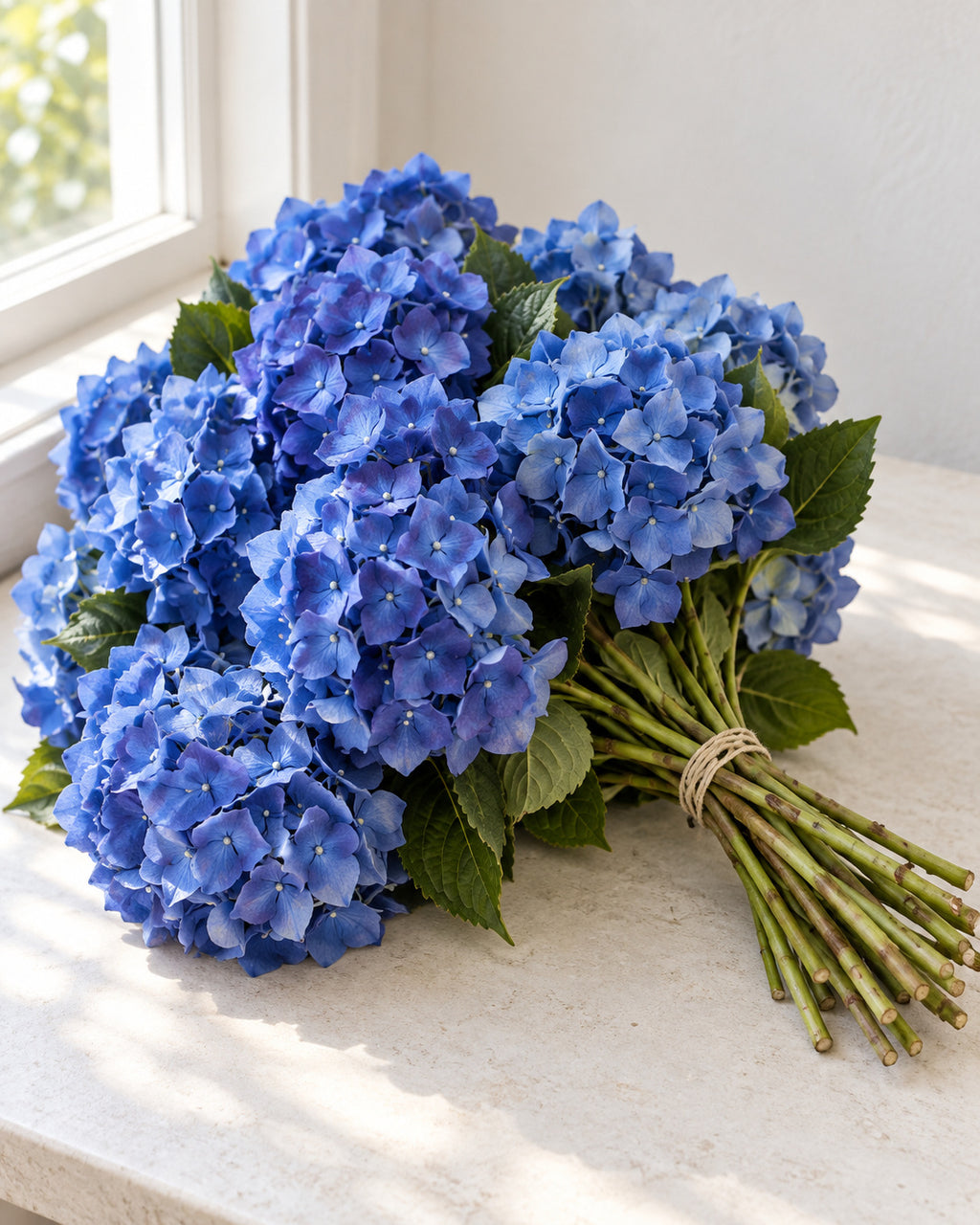 Blue — Hydrangeas, The Bloom Drop
