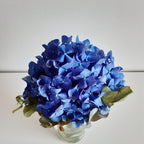 Blue hydrangea — The Bloom Drop