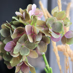 Green Antique hydrangea — The Bloom Drop