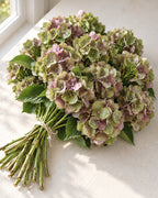 Green Antique — Hydrangeas, The Bloom Drop