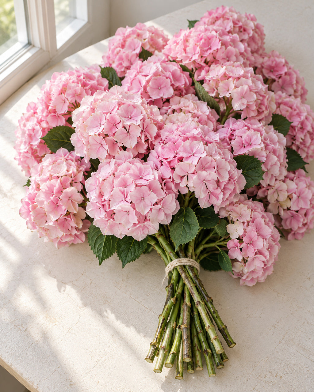 Pink — Hydrangeas, The Bloom Drop