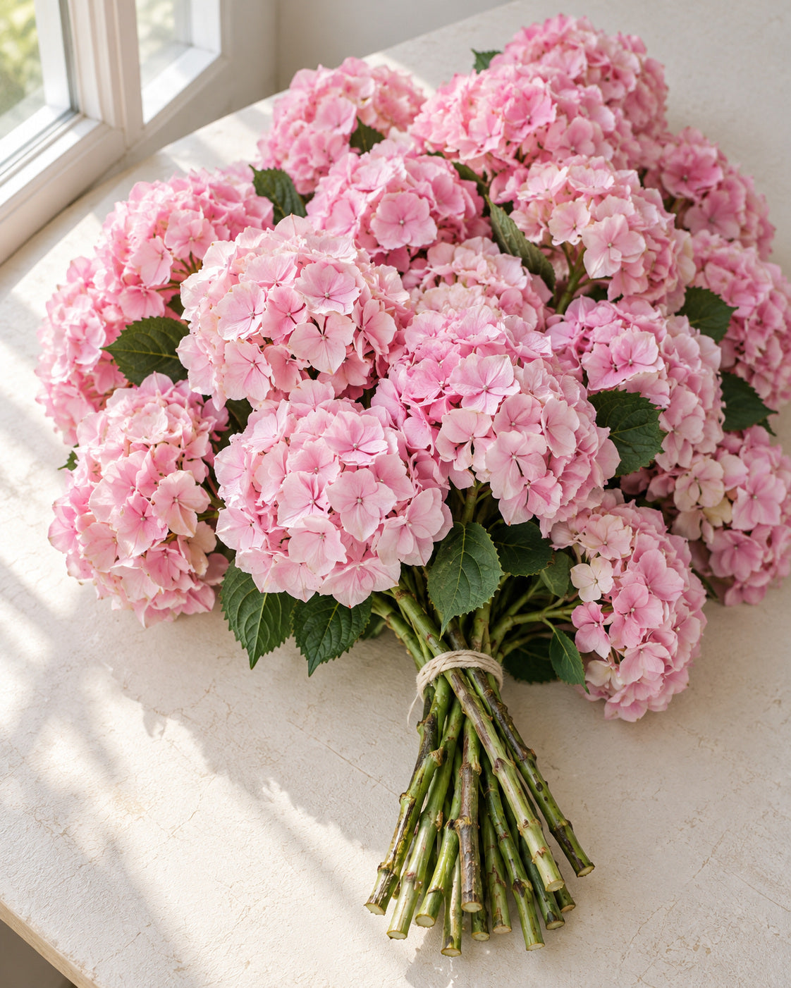 Pink — Hydrangeas, The Bloom Drop