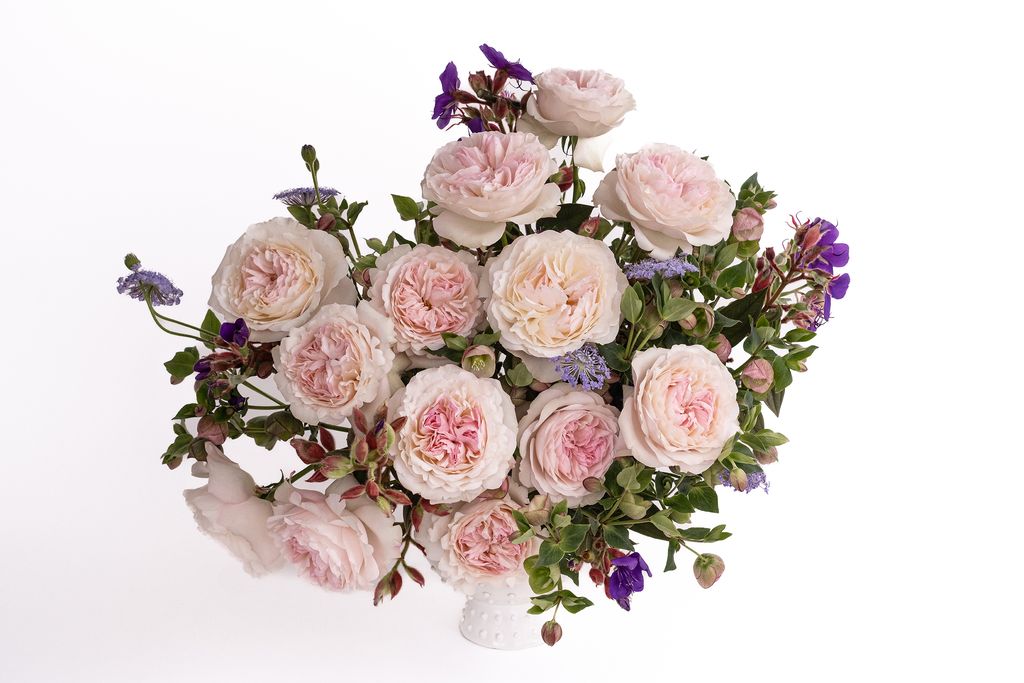 Garden Rose Arrangements