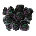 Kryptonite Halloween tinted roses, 25 stems