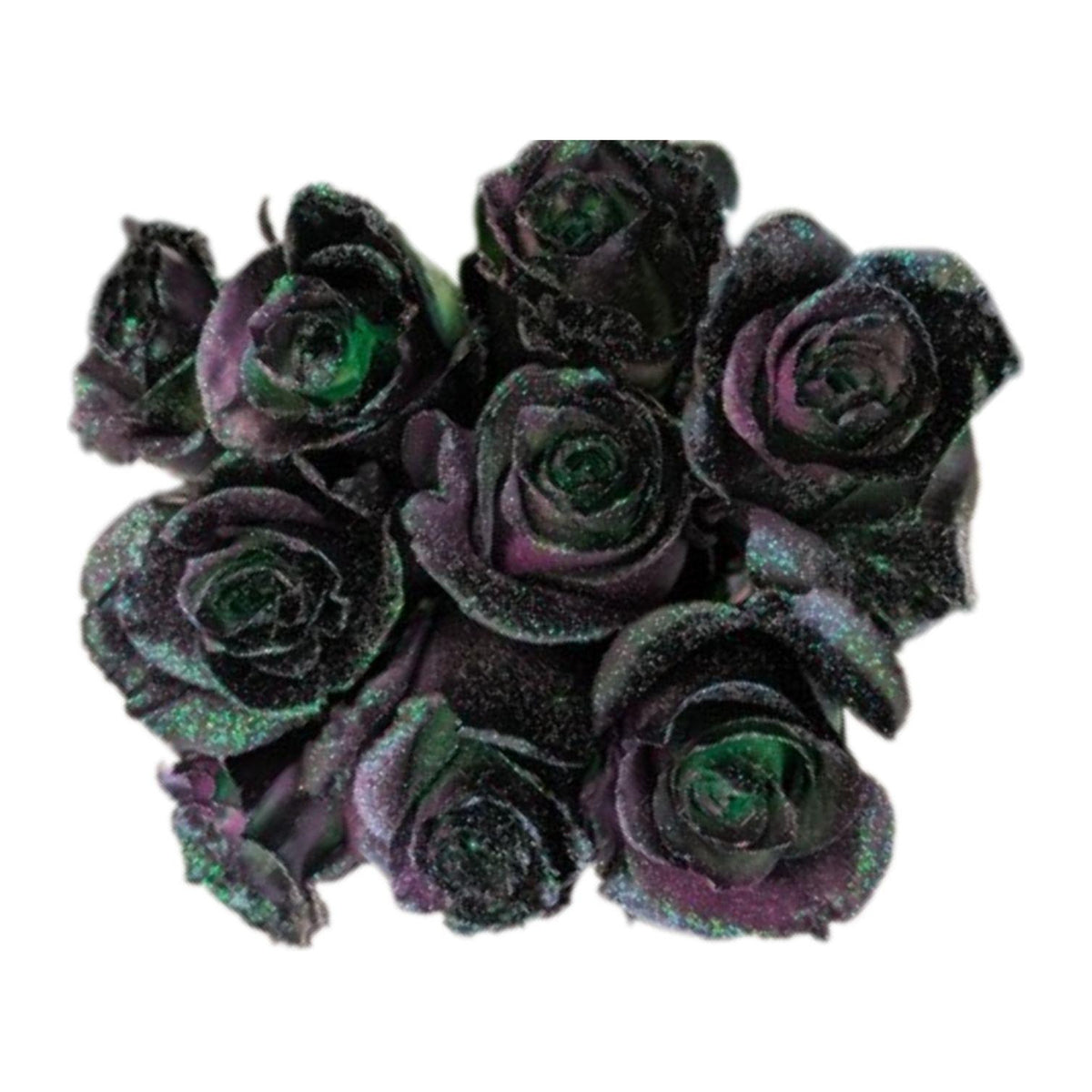 Kryptonite Halloween tinted roses, 25 stems