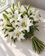 White — Oriental Lilies — Grower's Box of 60, The Bloom Drop