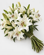 White — Oriental Lilies — Grower's Box of 60, The Bloom Drop