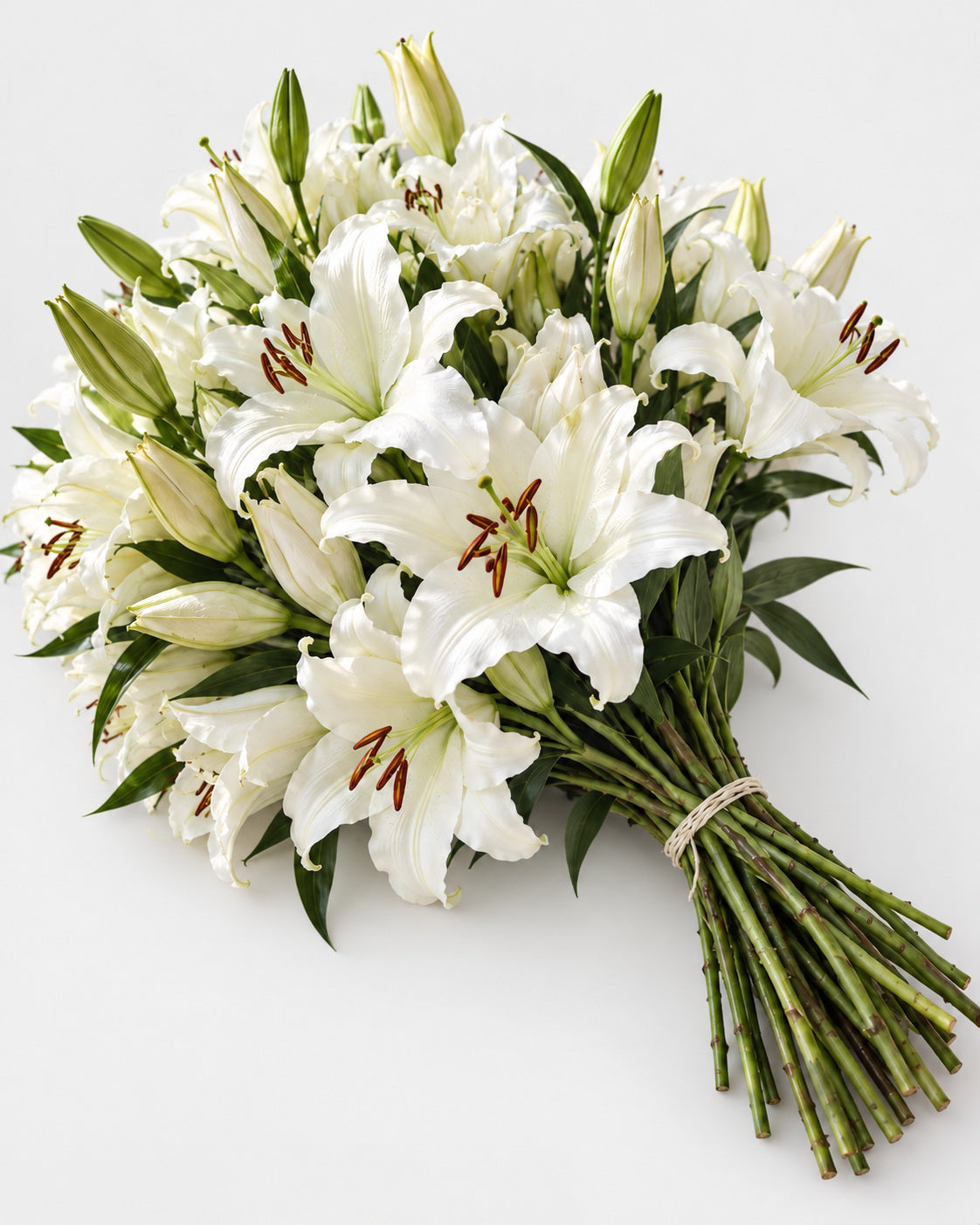 White — Oriental Lilies — Grower's Box of 60, The Bloom Drop