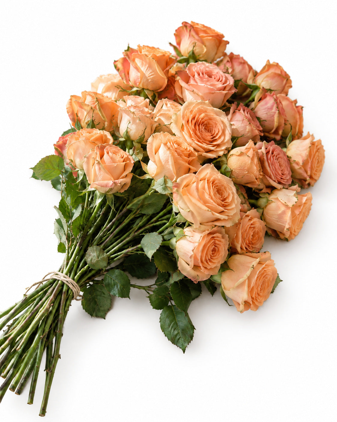 The Peachy Bloom — hand-gathered bouquet on white, The Bloom Drop