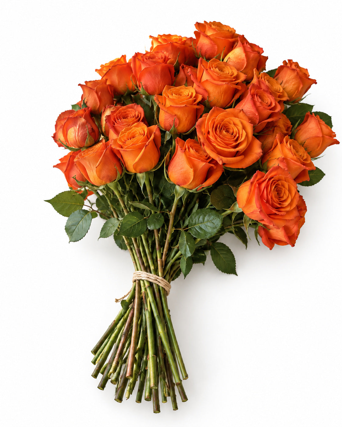 The Pure Orange — hand-gathered bouquet on white, The Bloom Drop