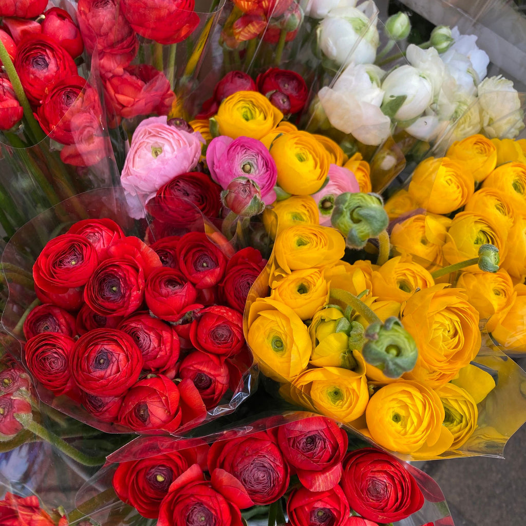 Assorted ranunculus — The Bloom Drop