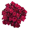 The Red Panther — 25 stems of Red Panther roses, The Bloom Drop Miami