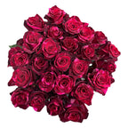 The Red Panther — 25 stems of Red Panther roses, The Bloom Drop Miami
