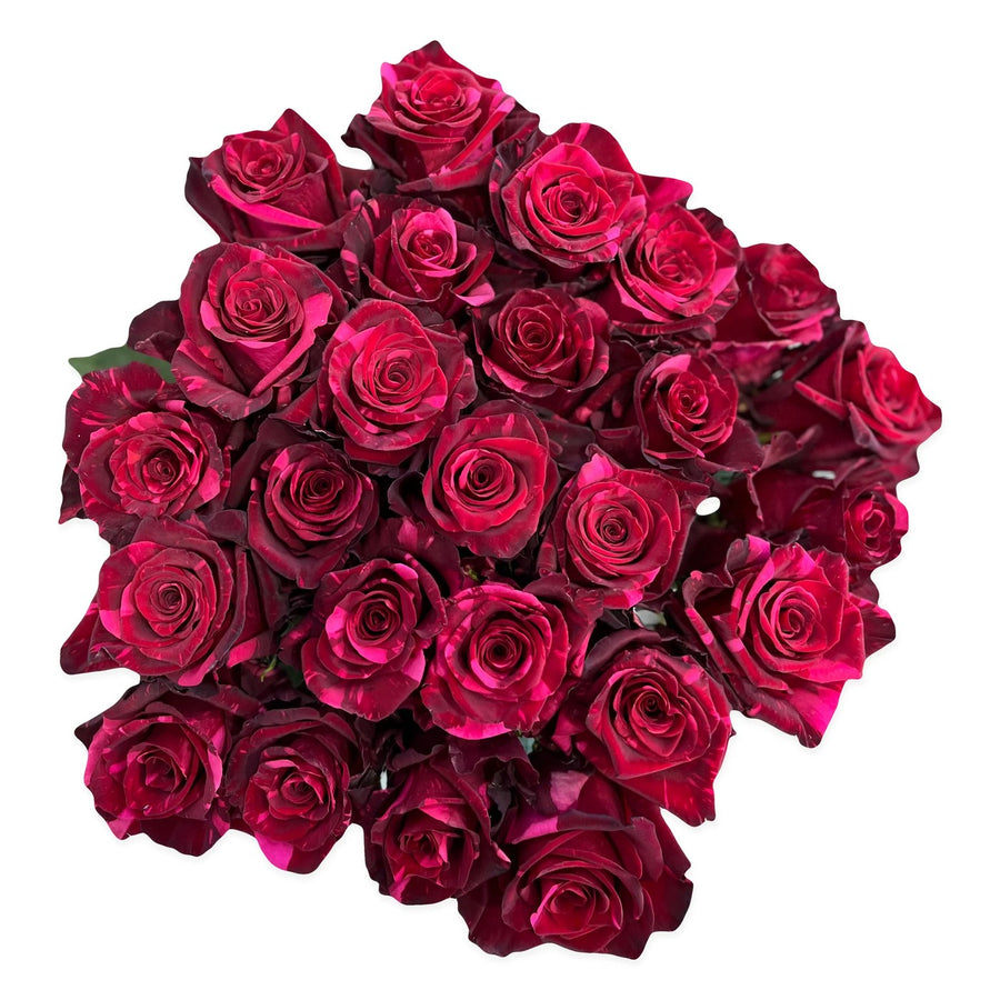 Solid Rose Collection