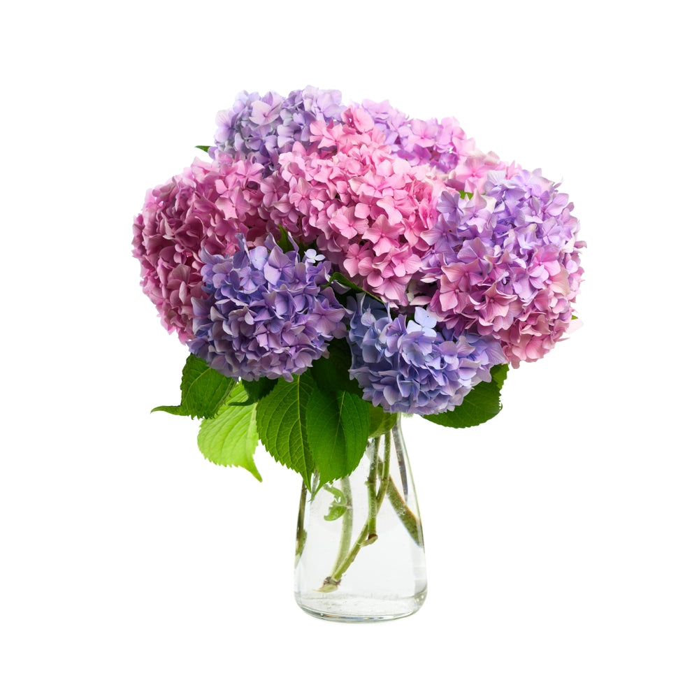 Chic Home Decor Accent Arrangement