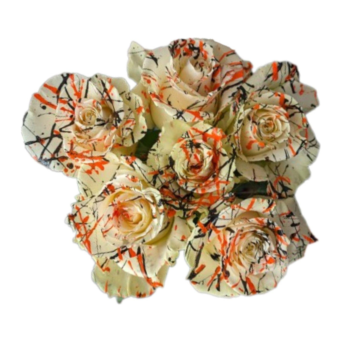 Spooky Clown Halloween tinted roses, 25 stems