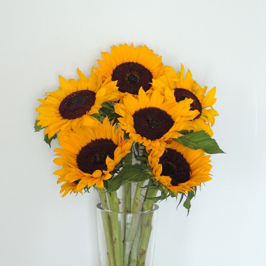 Sunflowers — Grower's Box — The Bloom Drop