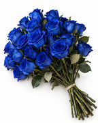 Tinted Blue — hand-gathered bouquet on white, The Bloom Drop