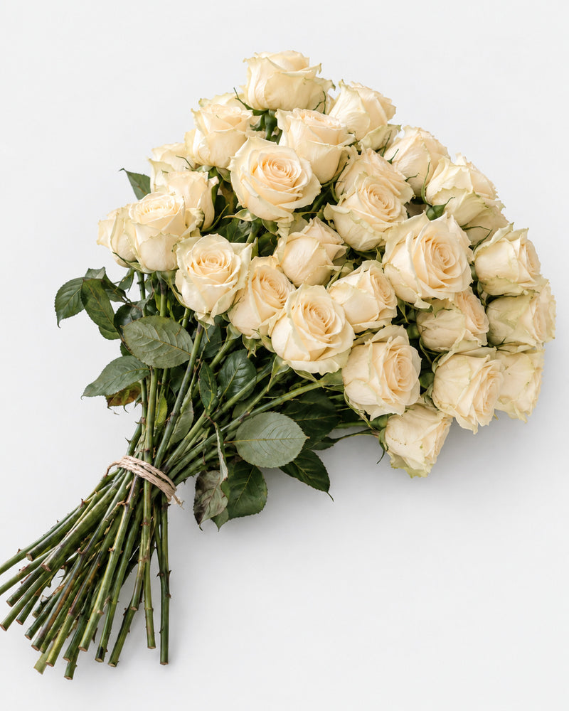 The Vanilla Bean — hand-gathered bouquet on white, The Bloom Drop
